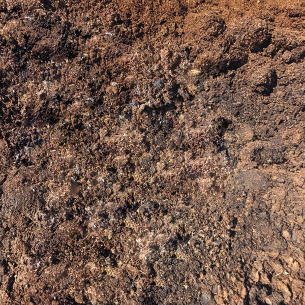 Vahva BroilerHyvä 500L